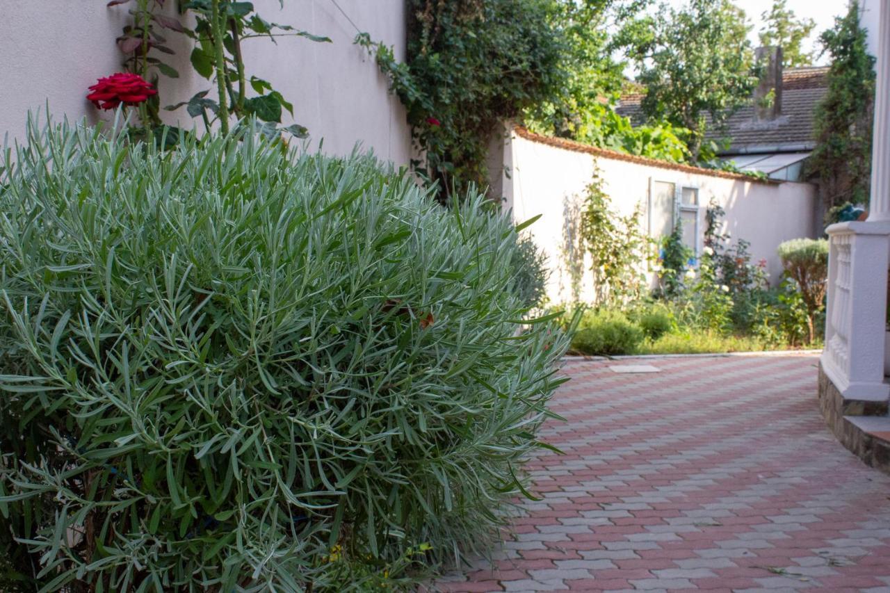 Yox Apartment 1 Oradea Exterior photo